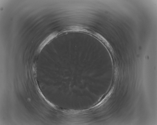 X0000085041385200703121422