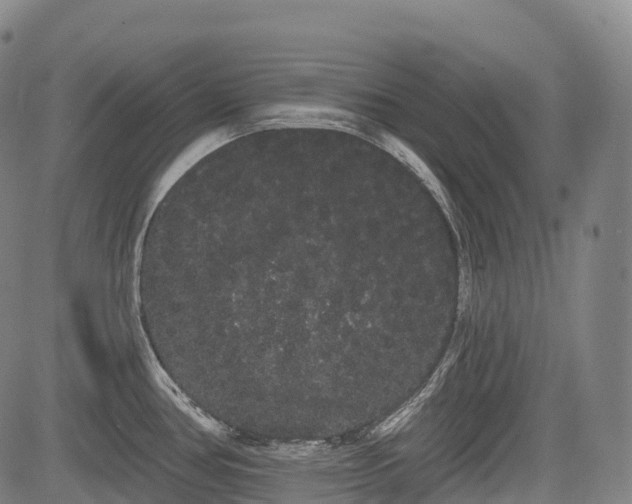 X0000085041386200703121422