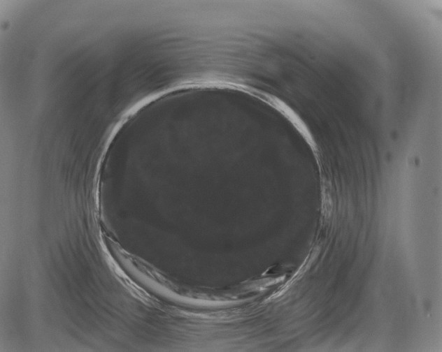 X0000085041388200703121422