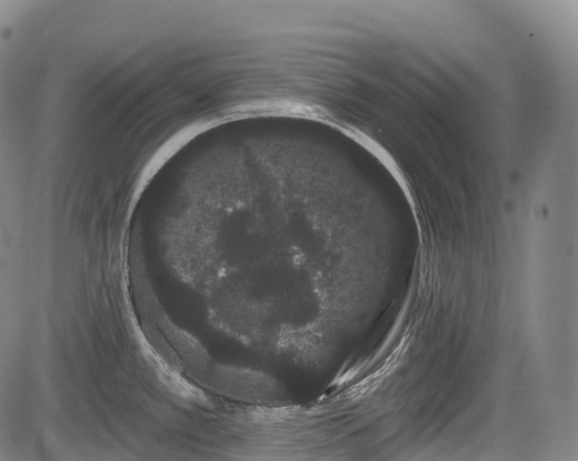 X0000085041389200703121422