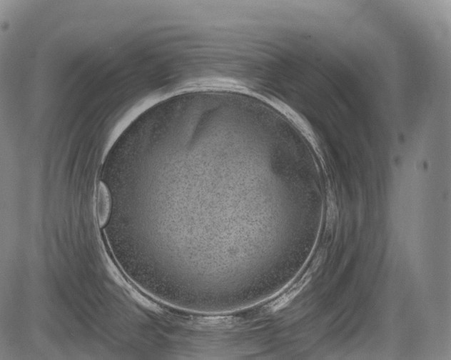 X0000085041390200703121422