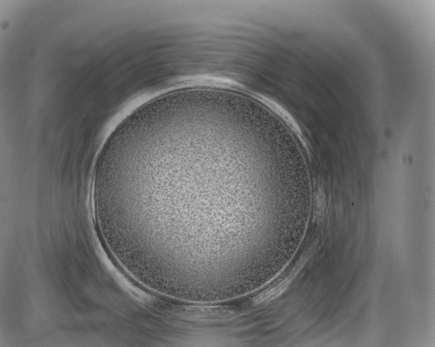 X0000085041391200703121422