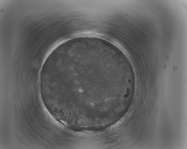 X0000085041392200703121422