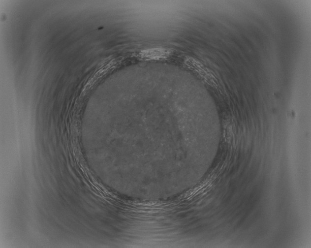 X0000085041393200703121421