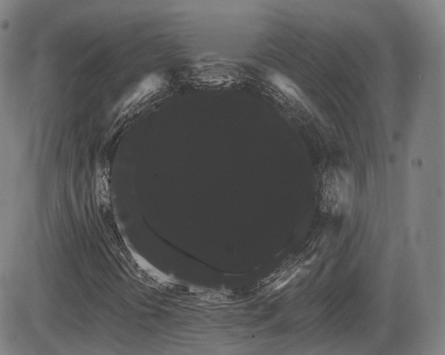 X0000085041394200703121421