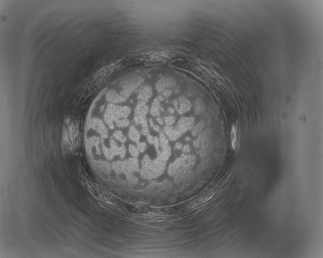 X0000085041395200703121421