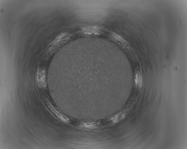 X0000085041396200703121421