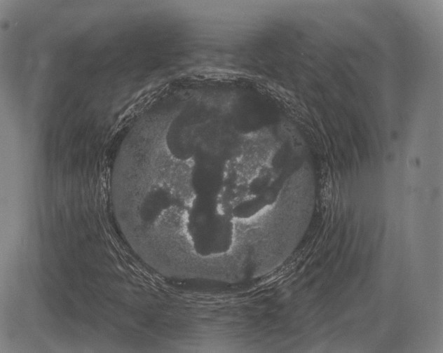 X0000085041397200703121421