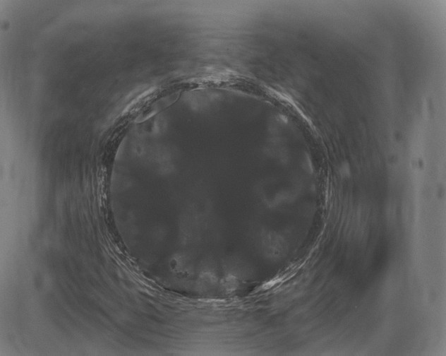 X0000085041399200703121421