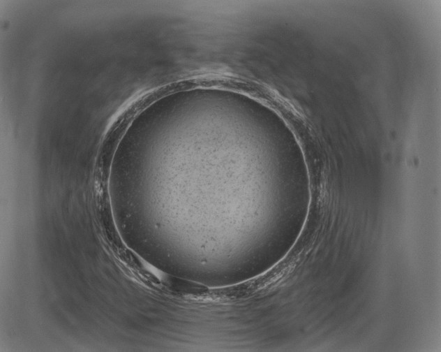 X0000085041400200703121421