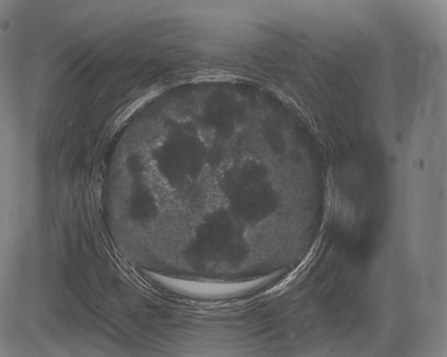 X0000085041401200703121421