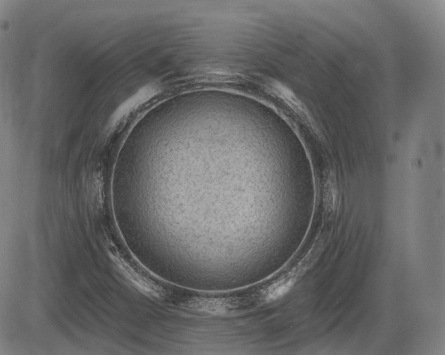 X0000085041402200703121421