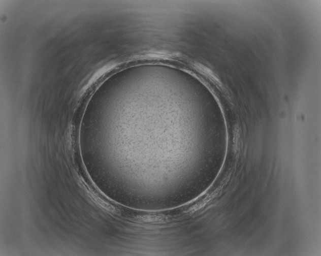 X0000085041404200703121421