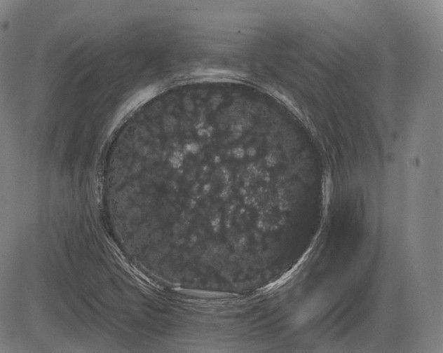 X0000085041405200703121422