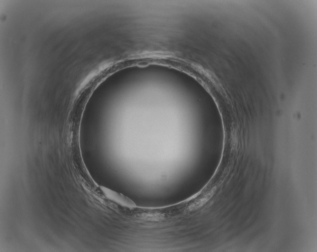 X0000085041406200703121422