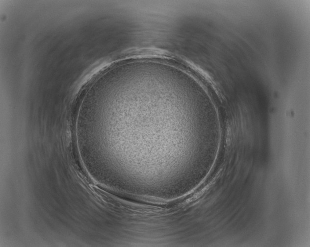 X0000085041407200703121422