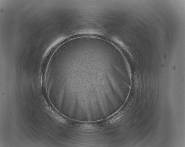 X0000085041408200703121422