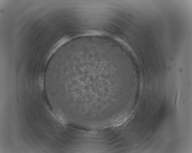 X0000085041409200703121422