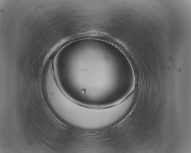 X0000085041410200703121422