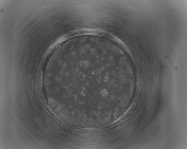 X0000085041411200703121422