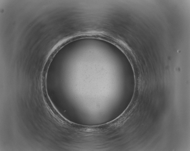 X0000085041412200703121422