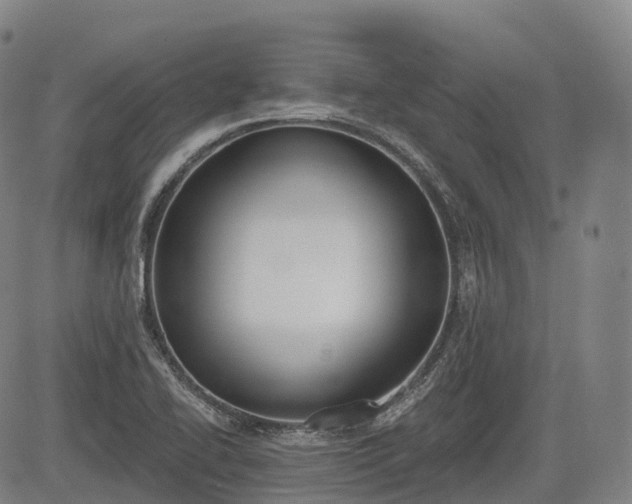 X0000085041414200703121422