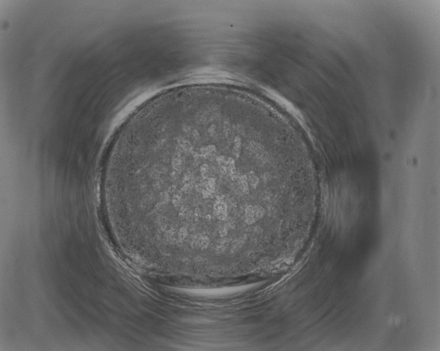 X0000085041415200703121422