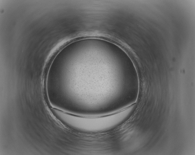 X0000085041416200703121422