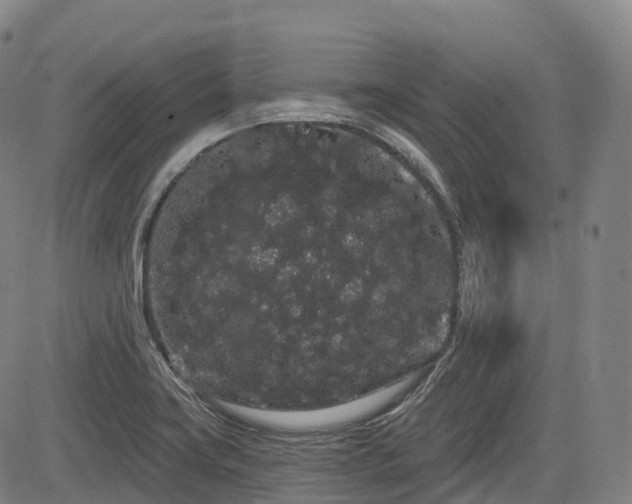 X0000085041419200703121422