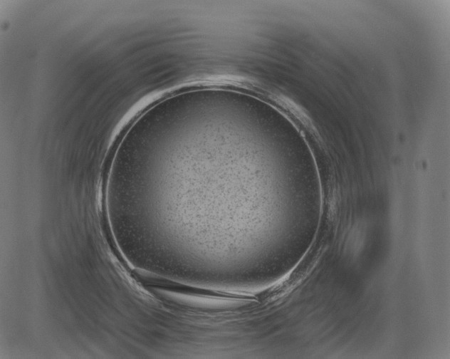 X0000085041420200703121422