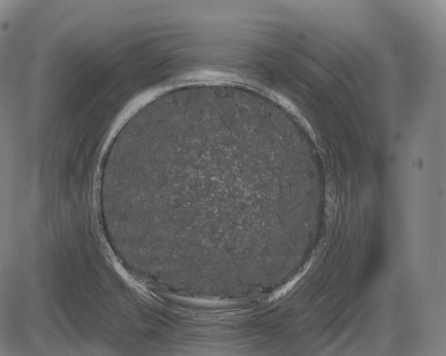 X0000085041421200703121422