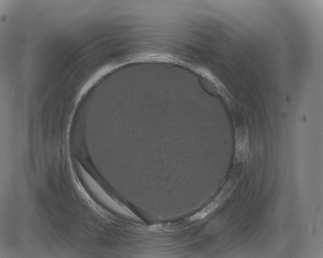 X0000085041422200703121422