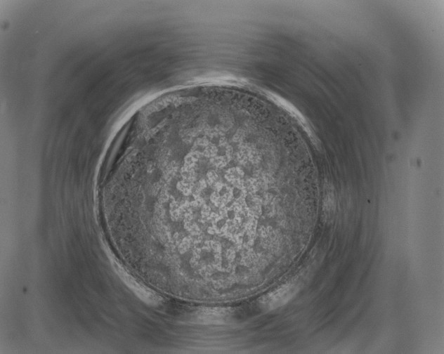 X0000085041423200703121422