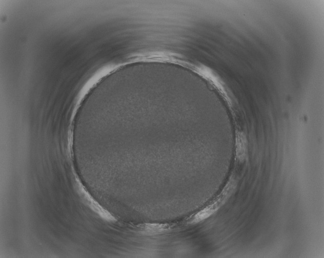 X0000085041424200703121422