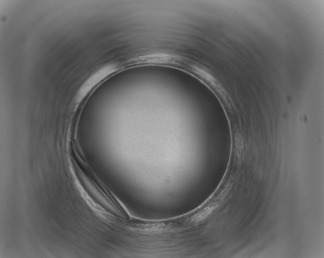 X0000085041426200703121422