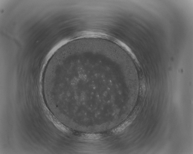 X0000085041427200703121422