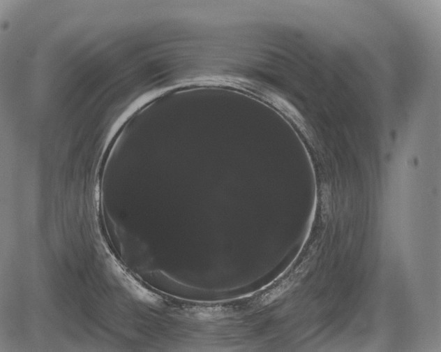 X0000085041428200703121422