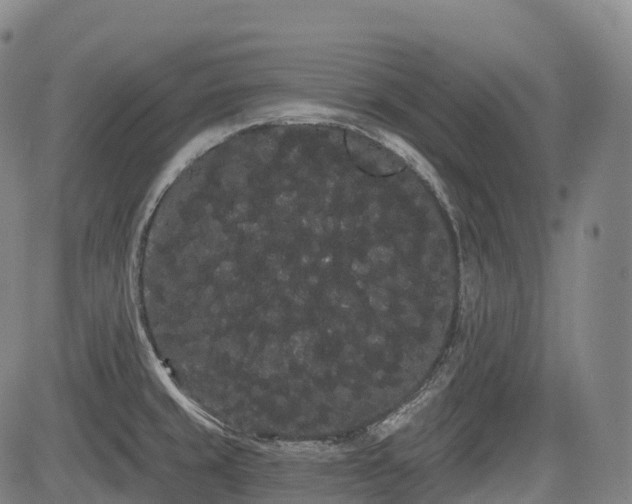 X0000085041429200703121422