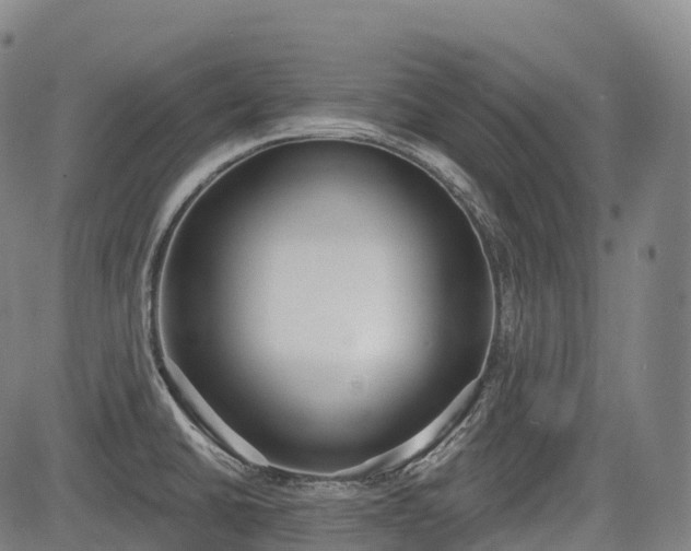 X0000085041430200703121422