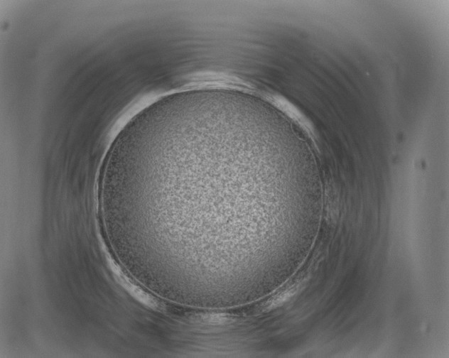 X0000085041431200703121422