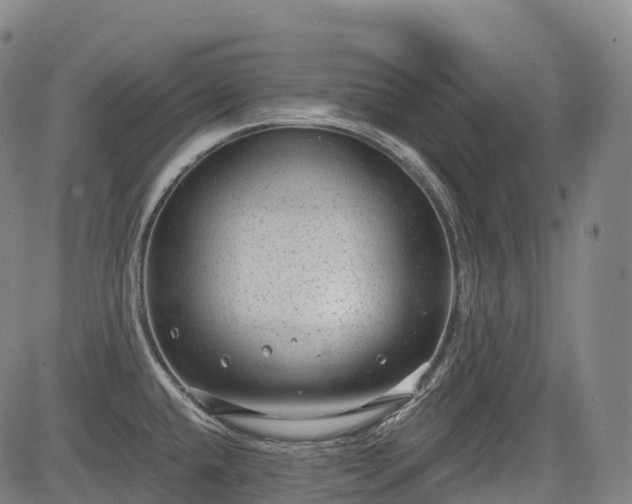 X0000085041432200703121422