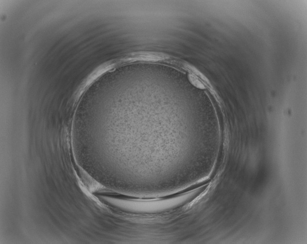 X0000085041433200703121422