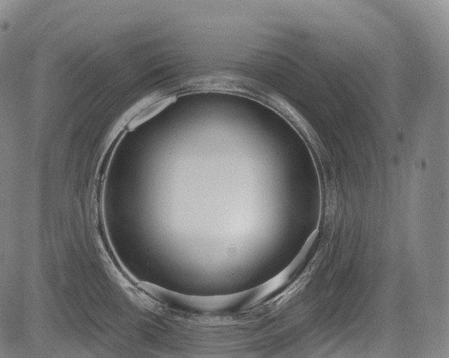 X0000085041434200703121422