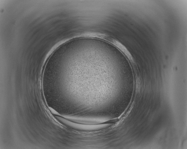 X0000085041436200703121422