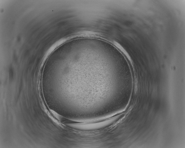 X0000085041437200703121422