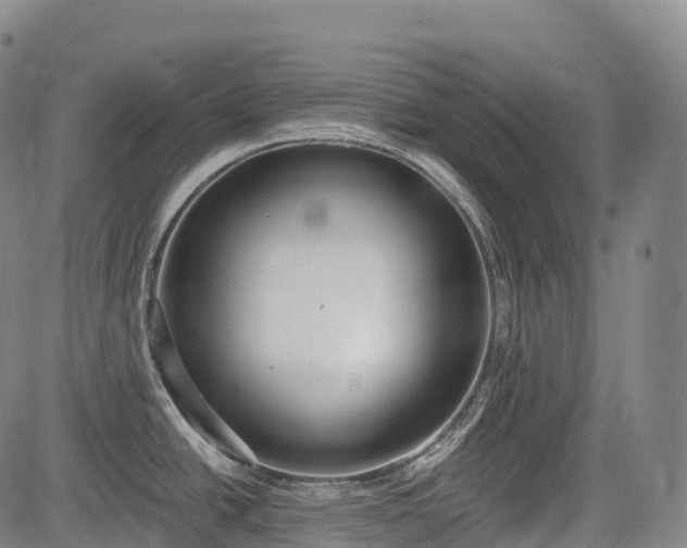 X0000085041438200703121422