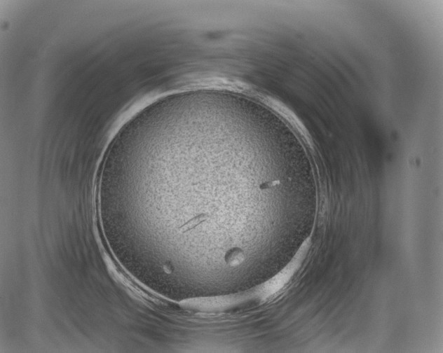 X0000085041439200703121422