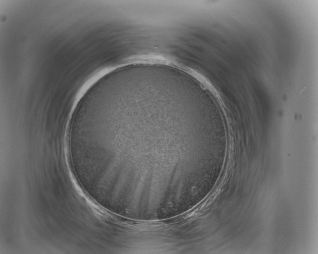 X0000085041440200703121422