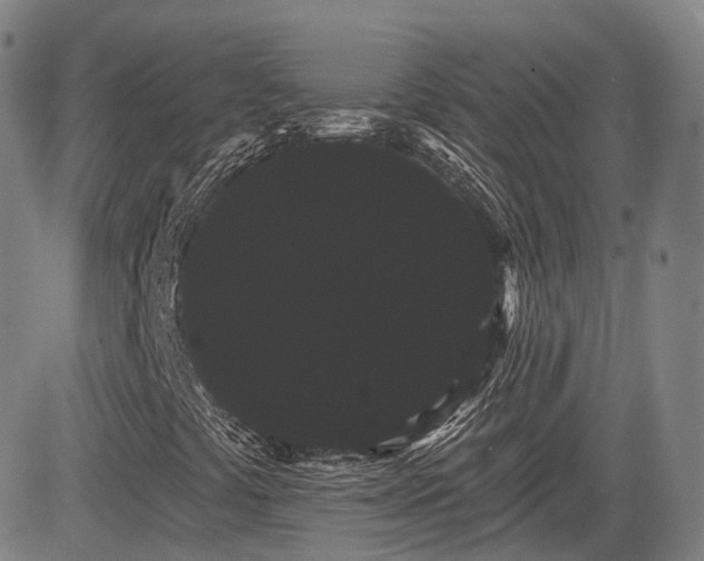 X0000085041441200703121421