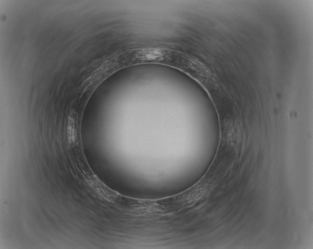 X0000085041442200703121421